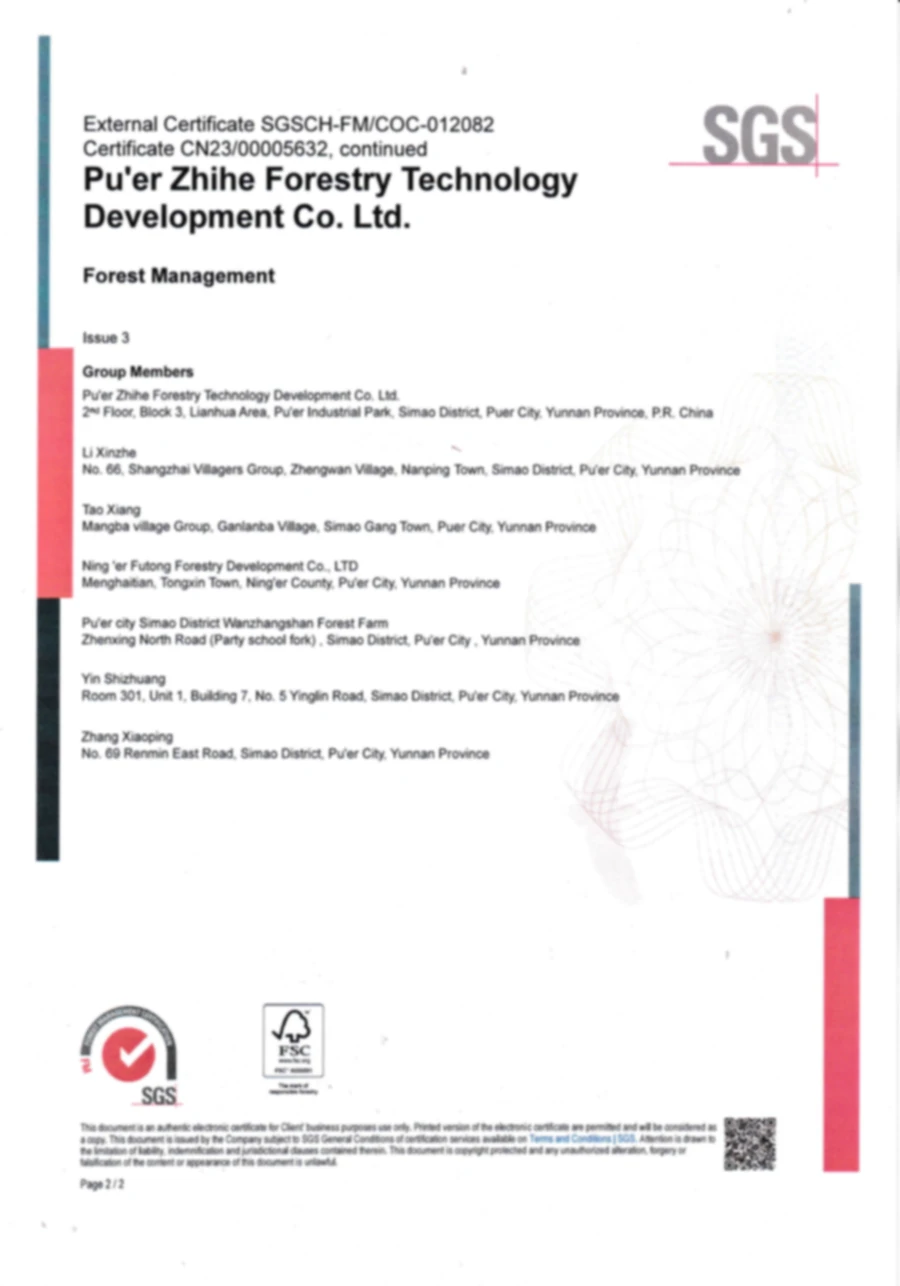 Dlinxcy FM certified document